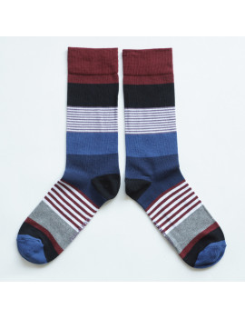 Chaussettes Solidaires Bonpied pour homme modèle Chaussettes Théodore