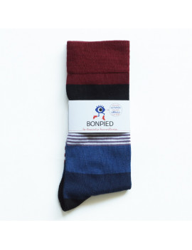 Chaussettes Solidaires Bonpied pour homme modèle Chaussettes Théodore